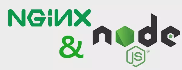 nginx_node.webp